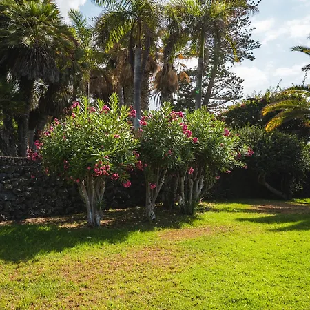 Centric And Bright - * Puerto de la Cruz (Tenerife)