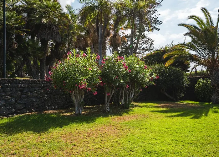 Centric And Bright - * Puerto de la Cruz (Tenerife)